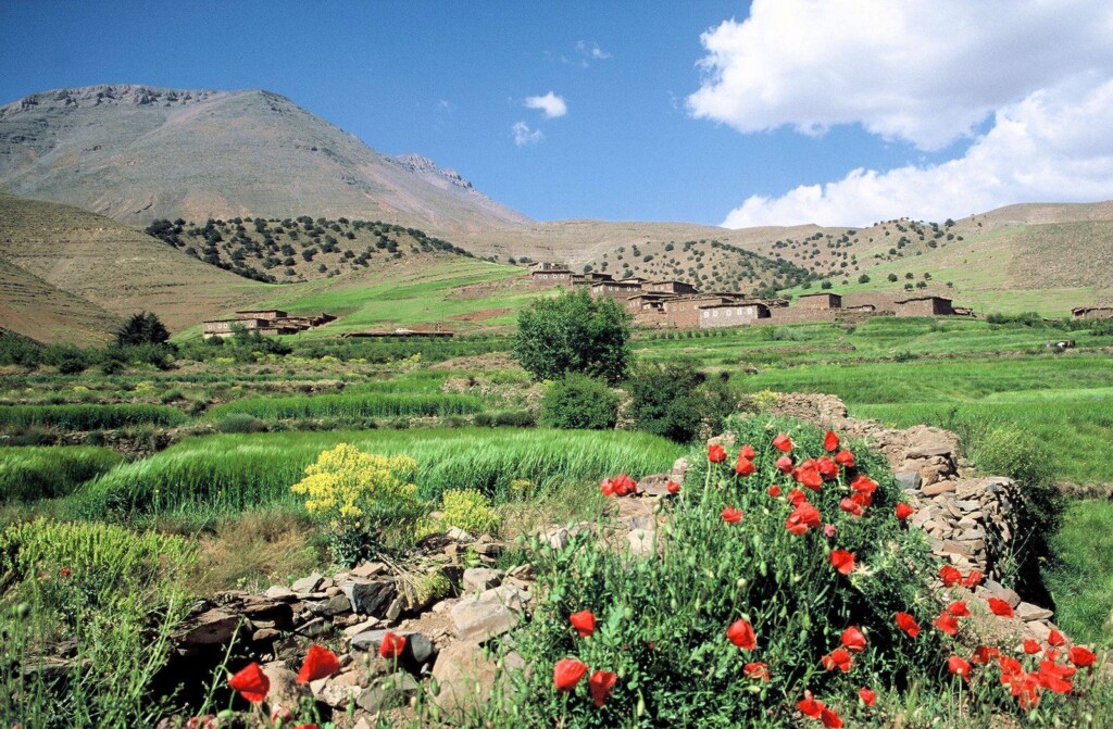 11154874_870538496346575_6354950250623348718_o